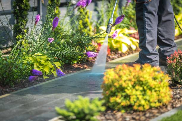 Best Restaurant Pressure Washing  in Millersburg, OR