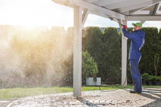 Best Pre-Holiday Cleaning  in Millersburg, OR